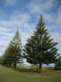 Thumbnail for version as of 04:10, 25 May 2007
