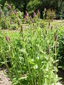 Thumbnail for version as of 17:26, 8 October 2007
