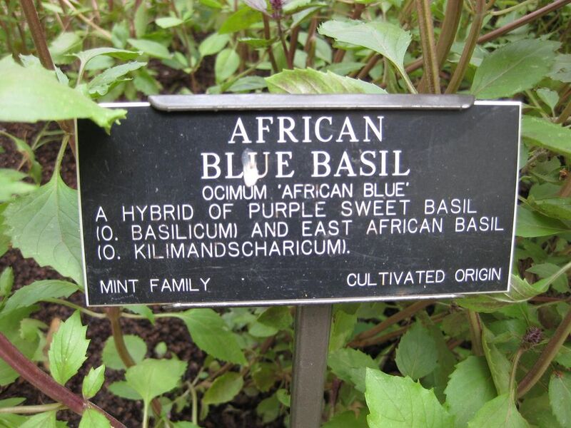 File:1024px-IMG 0586 bbg09.jpg