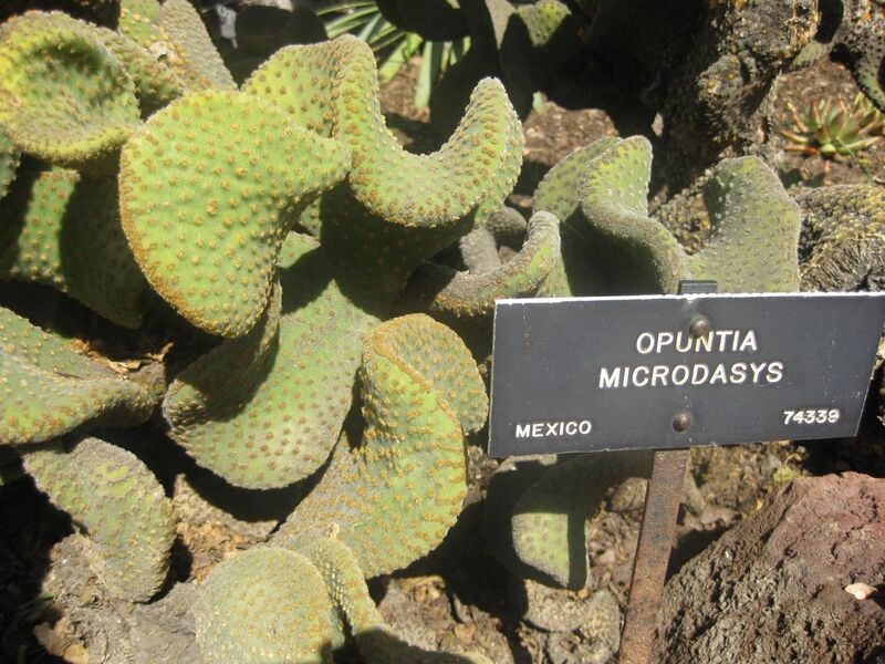 File:1280px-IMG 2242 hunt0903.jpg