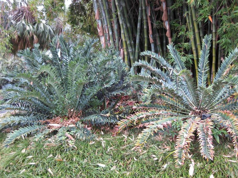 File:1280px-IMG 3849 hunt0904.jpg