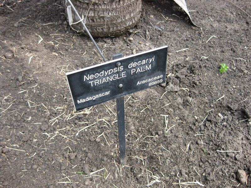 File:1280px-IMG 4147 hunt0904.jpg