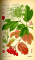 Thumbnail for version as of 15:18, 27 April 2007
