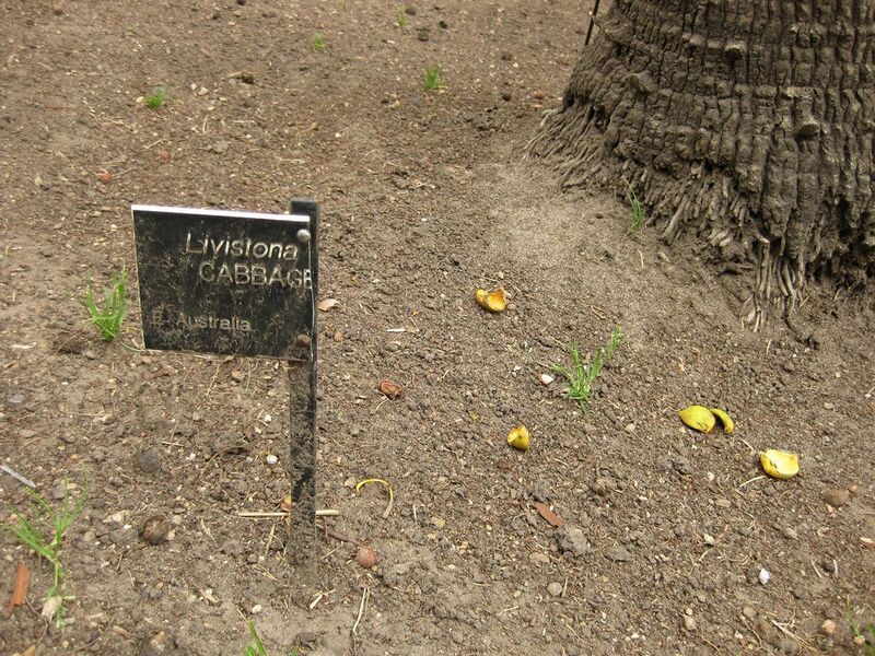 File:1024px-IMG 3998 hunt0904.jpg