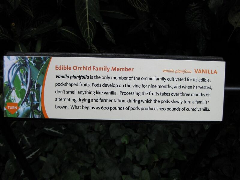 File:1280px-IMG 1159 bbg09.jpg