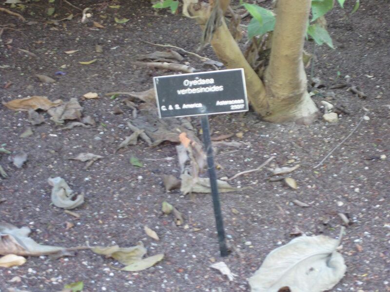 File:1280px-IMG 1975 hunt09oct.jpg