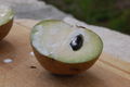 Thumbnail for version as of 14:24, 10 November 2007