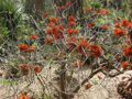 Thumbnail for version as of 09:20, 29 April 2025