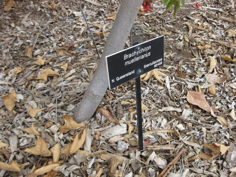 File:1280px-IMG 4881 hunt0904.jpg