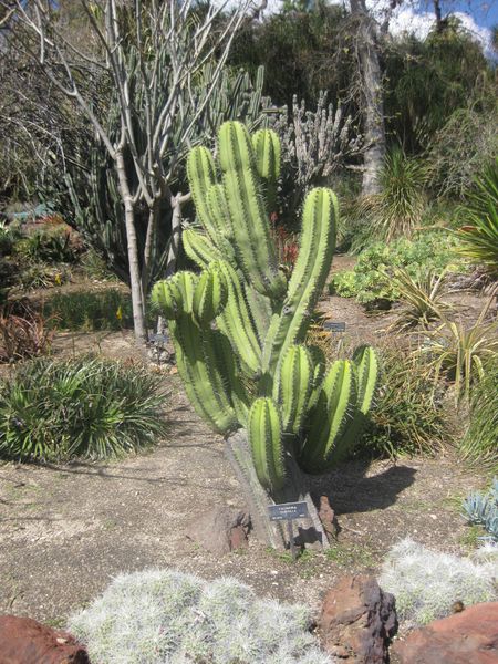 File:IMG 2252 hunt0903.jpg