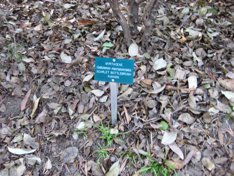 File:IMG 2622 ucla09.jpg