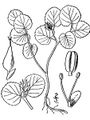 Thumbnail for version as of 05:11, 18 November 2007