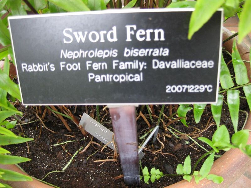 File:1280px-IMG 0883 bbg09.jpg