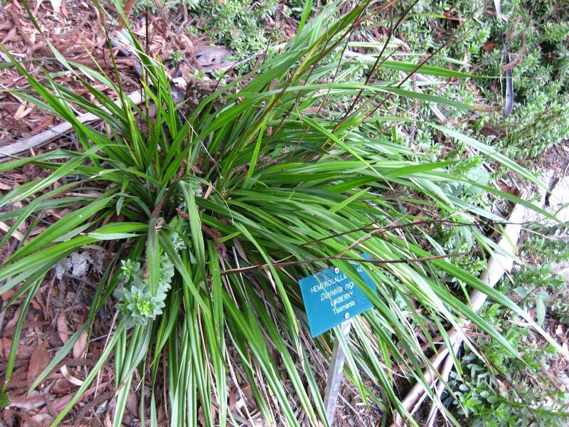 File:1280px-IMG 2611 ucla09.jpg