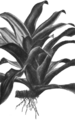Thumbnail for version as of 10:11, 29 April 2025
