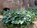 Thumbnail for version as of 06:41, 22 June 2007
