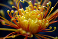 Thumbnail for version as of 22:27, 3 February 2009