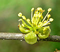 Thumbnail for version as of 09:38, 29 April 2025