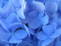 Thumbnail for version as of 03:04, 24 January 2008