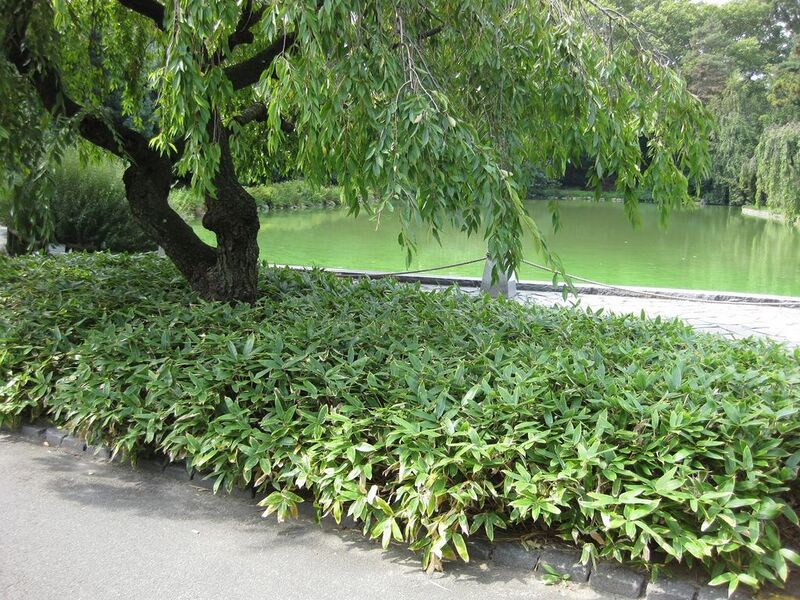 File:1024px-IMG 0650 bbg09.jpg