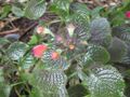 Thumbnail for version as of 08:58, 29 April 2025