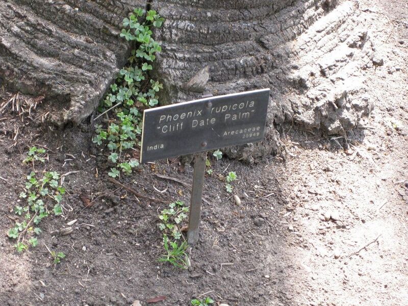 File:1024px-IMG 4149 hunt0904.jpg