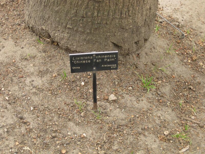 File:1280px-IMG 3915 hunt0904.jpg