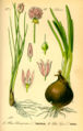 Thumbnail for version as of 08:47, 26 September 2007