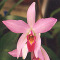 Thumbnail for version as of 16:05, 5 July 2007