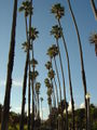 Thumbnail for version as of 04:46, 17 May 2007