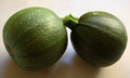 Two Tondo di Piacenza Zucchinis
