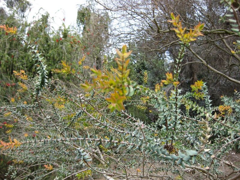 File:1280px-IMG 4553 hunt0904.jpg