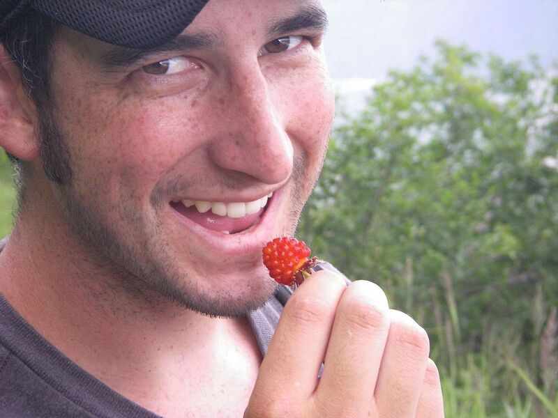 File:1280px-Salmon Berry.JPG