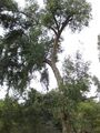 Thumbnail for version as of 10:26, 29 April 2025