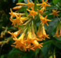 Thumbnail for version as of 05:27, 9 May 2007