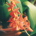 Thumbnail for version as of 10:50, 2 May 2007