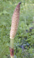 Thumbnail for version as of 08:57, 9 June 2007