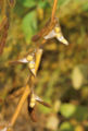 Thumbnail for version as of 03:37, 14 July 2007