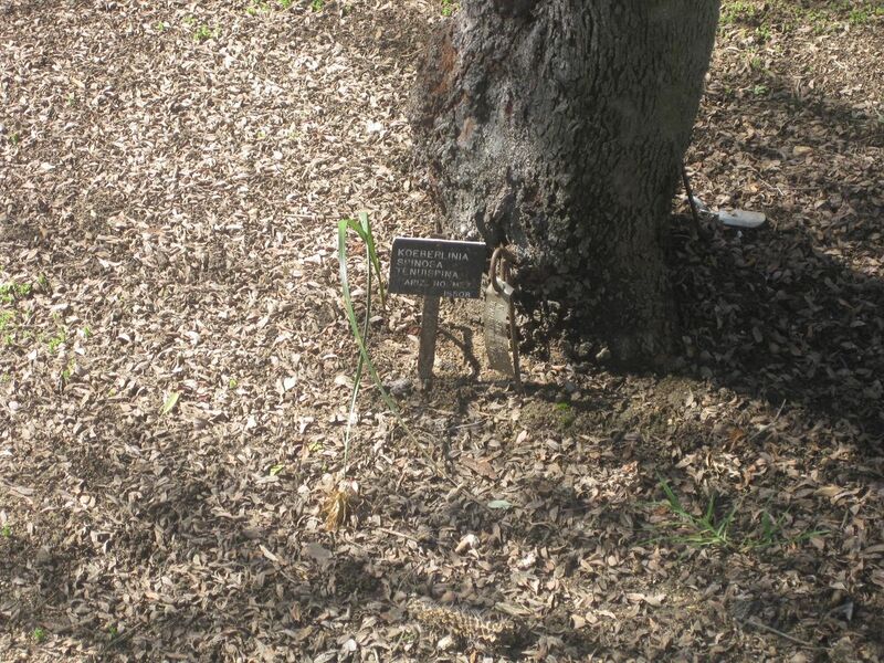 File:1280px-IMG 2326 hunt0903.jpg