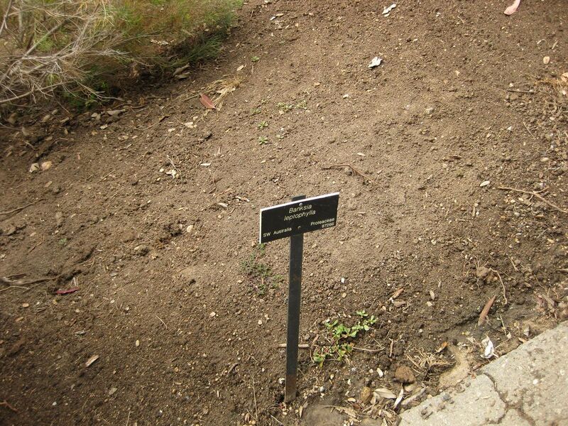 File:1280px-IMG 7196 hunt09jun.jpg