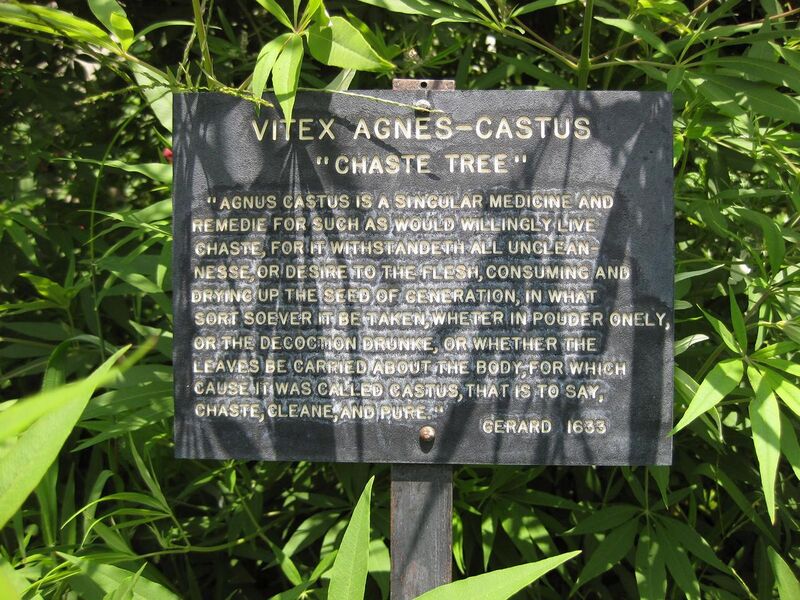 File:1280px-IMG 7697 hunt09jun.jpg