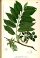 Thumbnail for version as of 10:58, 5 September 2007
