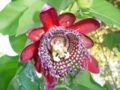 Thumbnail for version as of 20:19, 13 March 2009