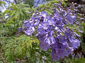 Thumbnail for version as of 18:34, 16 November 2007