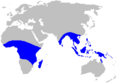 Musaceae distribution