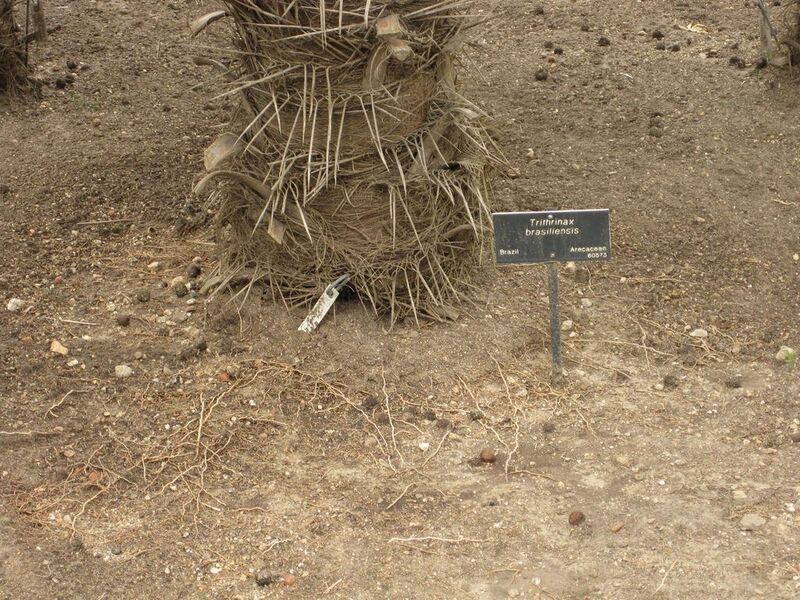 File:1024px-IMG 3996 hunt0904.jpg