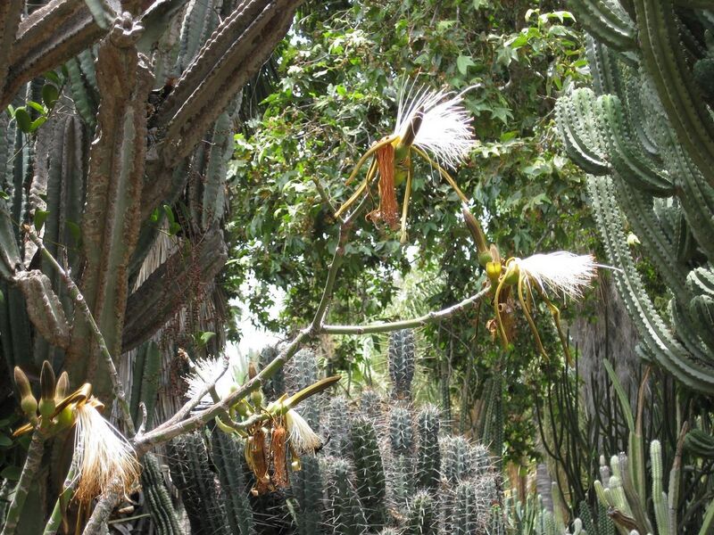 File:1280px-IMG 7475 hunt09jun.jpg