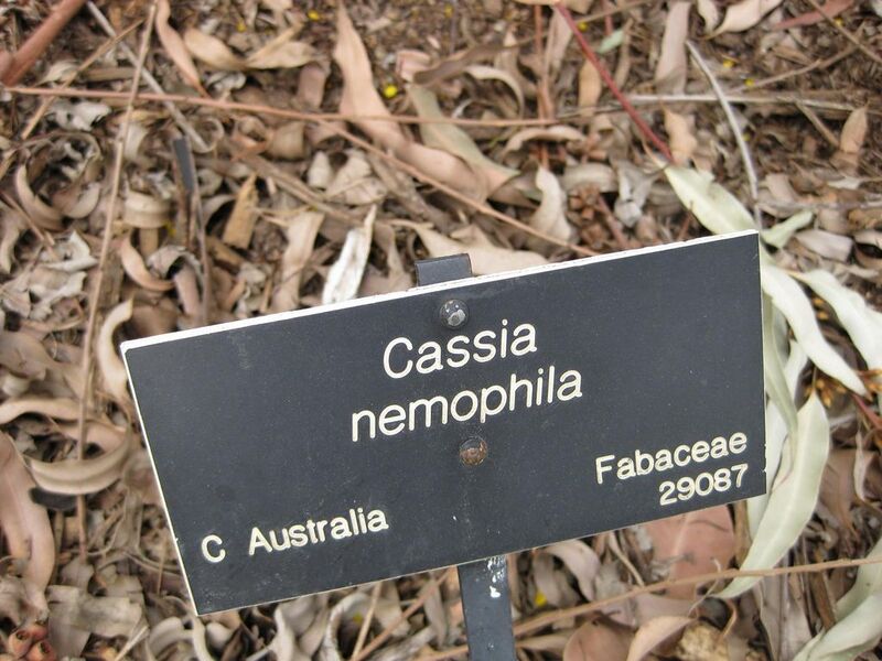File:1024px-IMG 4664 hunt0904.jpg