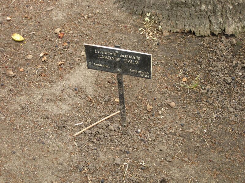 File:1280px-IMG 3991 hunt0904.jpg