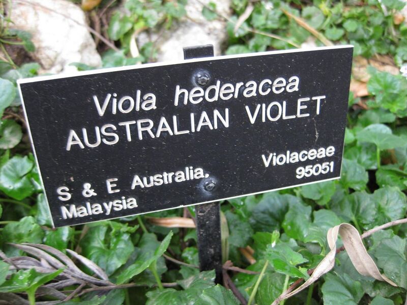 File:1280px-IMG 4737 hunt0904.jpg